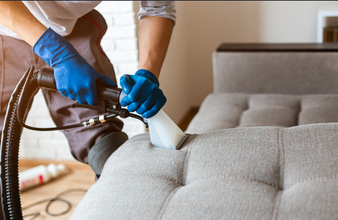 When to Call a Professional Cleaner