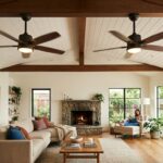 Dual Ceiling Fan