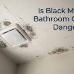 Is Black Mold on Bathroom Ceiling Dangerous?