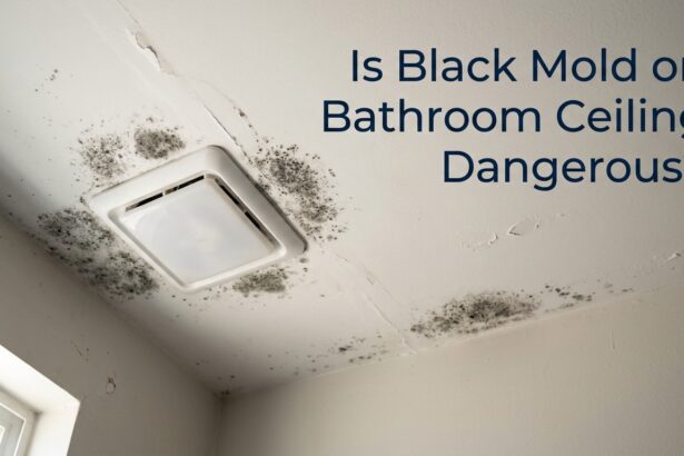 Is Black Mold on Bathroom Ceiling Dangerous?