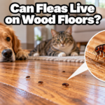 Can Fleas Live on Wood Floors?